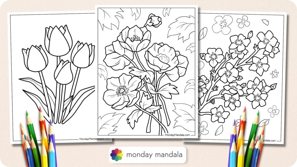 Flower Coloring Pages Featured Image