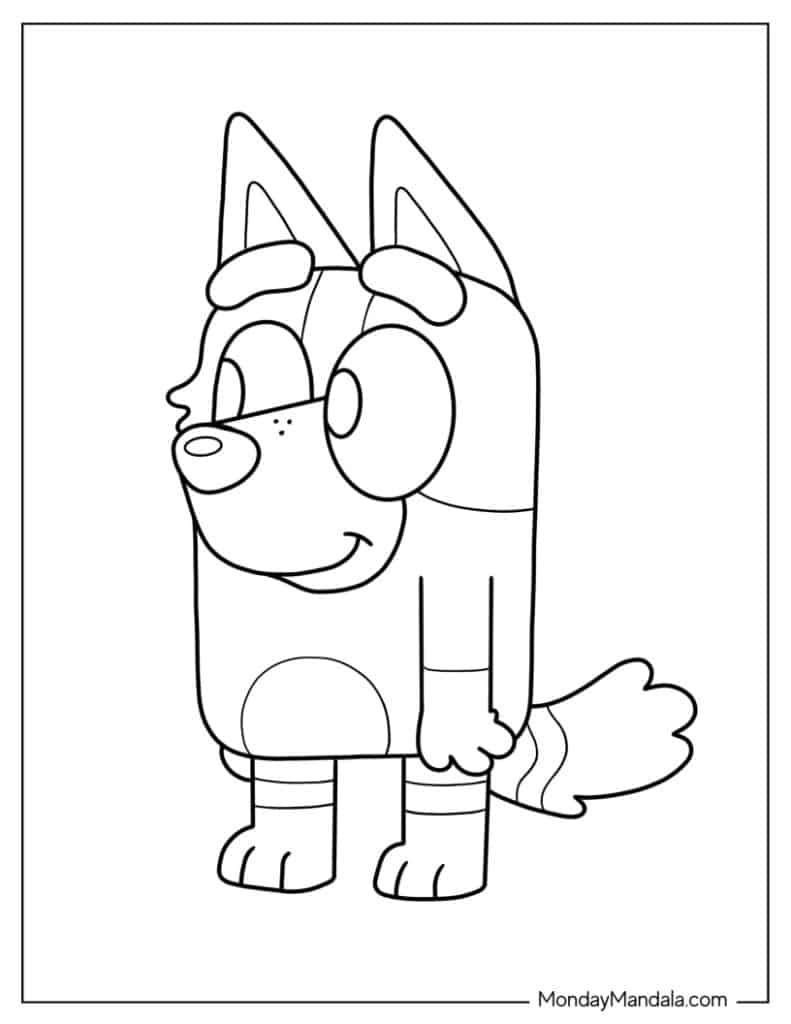 Socks Heeler